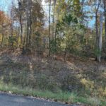 Property photo for land for sale in Hardin County Tennessee