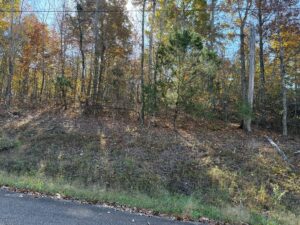 Property photo for land for sale in Hardin County Tennessee