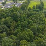 Property photo for land for sale in Surry County North Carolina