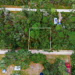 Property photo for land for sale in Dixie County Florida
