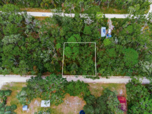 Property photo for land for sale in Dixie County Florida