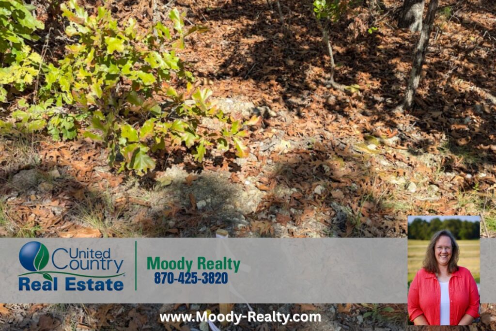 Property photo for land for sale in Fulton County Arkansas