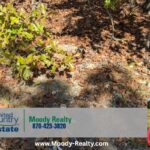 Property photo for land for sale in Fulton County Arkansas