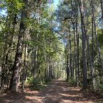 Property photo for land for sale in Union County Arkansas