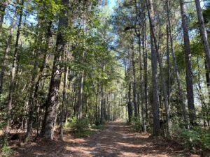 Property photo for land for sale in Union County Arkansas