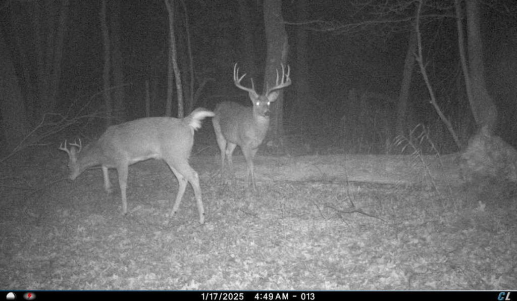 Property photo for land for sale in Juneau County Wisconsin