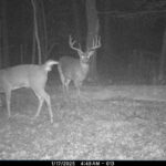 Property photo for land for sale in Juneau County Wisconsin