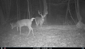 Property photo for land for sale in Juneau County Wisconsin