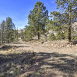 Property photo for land for sale in Teller County Colorado