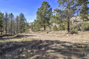 Property photo for land for sale in Teller County Colorado