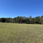 Property photo for land for sale in Cherokee County Texas