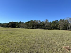 Property photo for land for sale in Cherokee County Texas