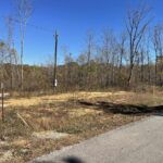Property photo for land for sale in Clinton County Kentucky
