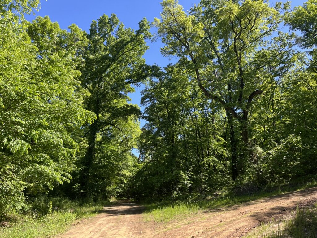 Property photo for land for sale in Pushmataha County Oklahoma