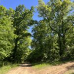 Property photo for land for sale in Pushmataha County Oklahoma