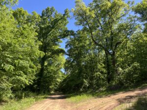 Property photo for land for sale in Pushmataha County Oklahoma