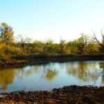Property photo for land for sale in Brown County Texas