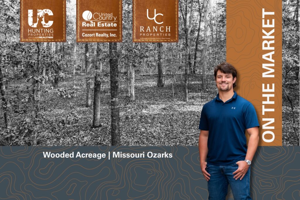 Property photo for land for sale in Ozark County Missouri