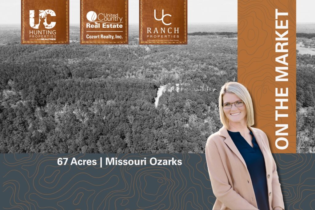 Property photo for land for sale in Texas County Missouri