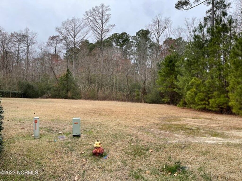 Property photo for land for sale in Perquimans County North Carolina