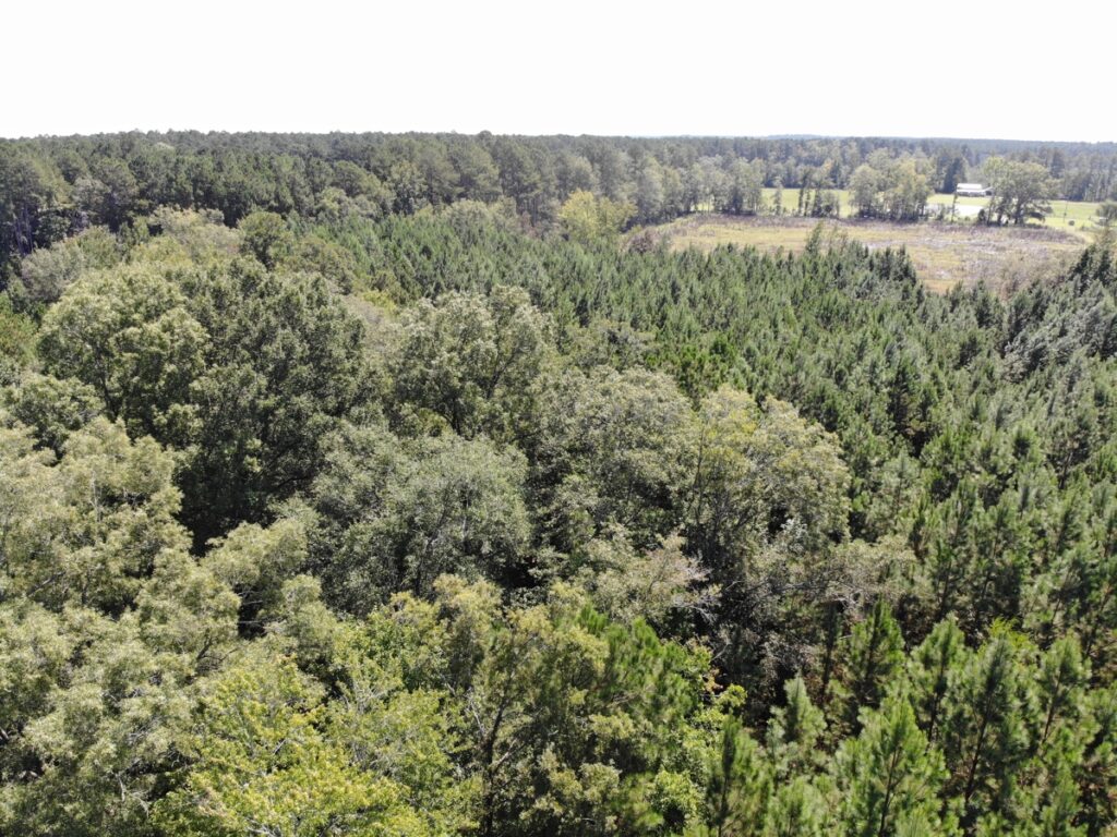 Property photo for land for sale in Mitchell County Georgia