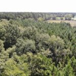 Property photo for land for sale in Mitchell County Georgia