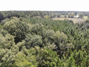 Property photo for land for sale in Mitchell County Georgia