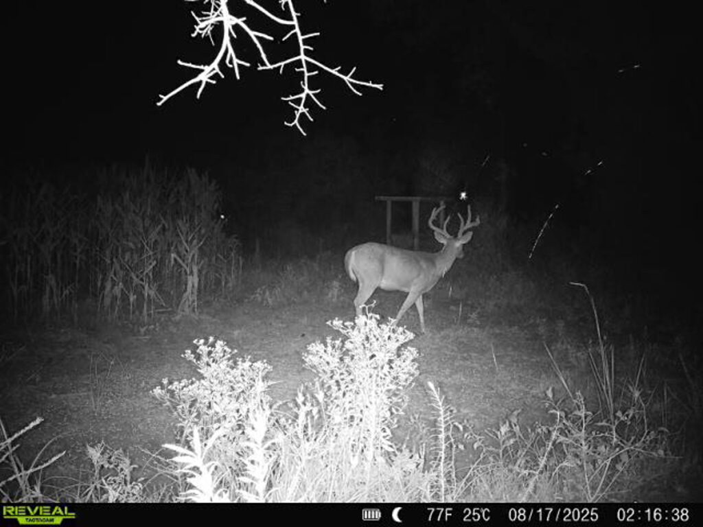 Property photo for land for sale in Dougherty County Georgia