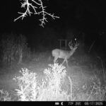 Property photo for land for sale in Dougherty County Georgia