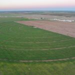 Property photo for land for sale in Parmer County Texas