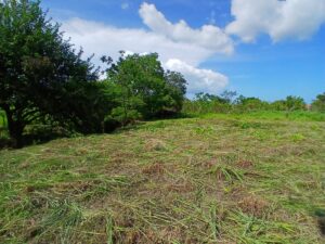 Property photo for land for sale in  County Panama