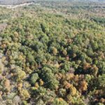 Property photo for land for sale in Izard County Arkansas
