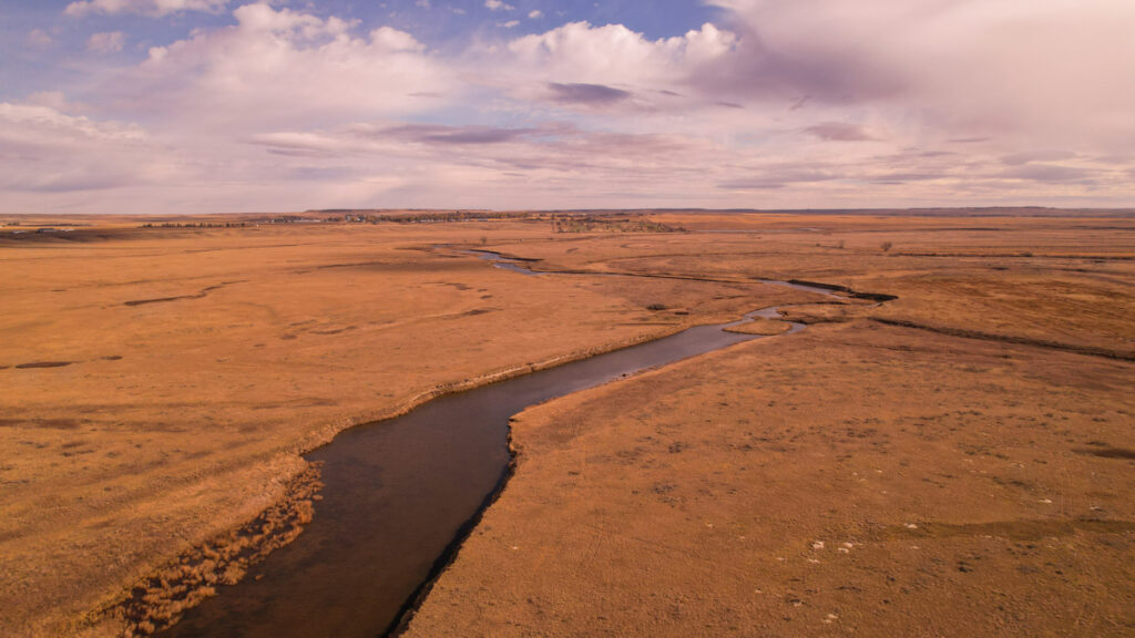 Property photo for land for sale in Daniels County Montana