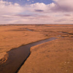 Property photo for land for sale in Daniels County Montana