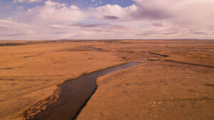 Property photo for land for sale in Daniels County Montana