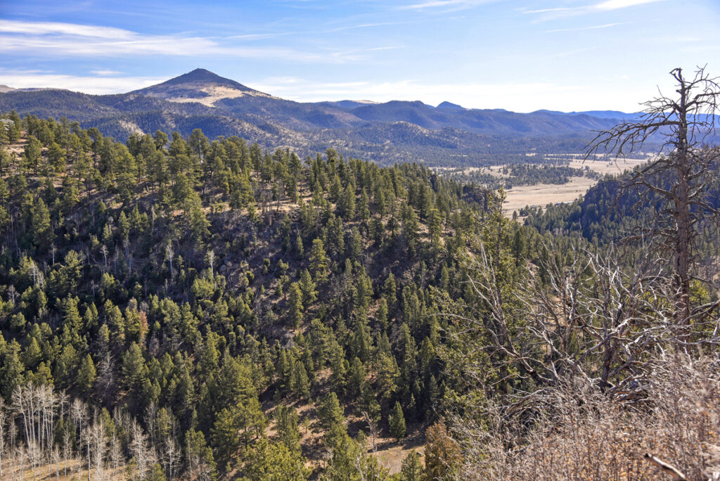 Property photo for land for sale in Teller County Colorado
