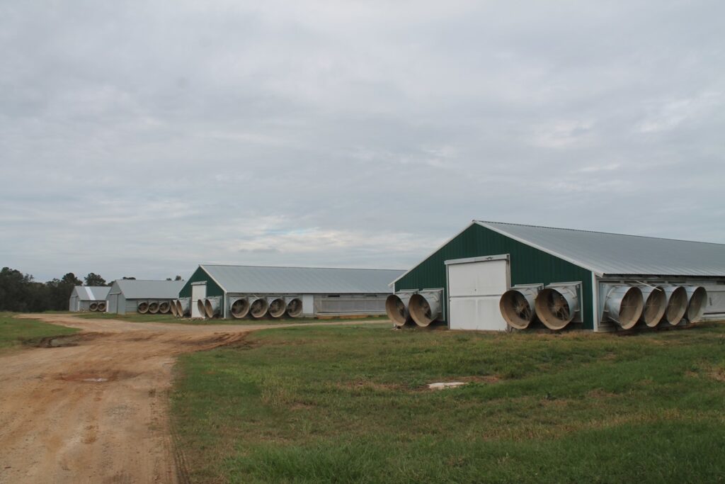 Property photo for land for sale in Brooks County Georgia