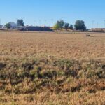 Property photo for land for sale in Torrance County New Mexico
