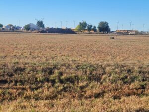 Property photo for land for sale in Torrance County New Mexico