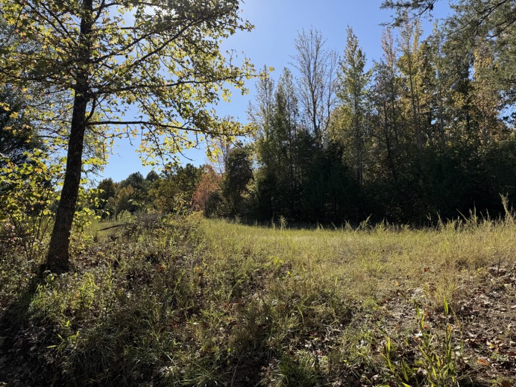 Property photo for land for sale in Fulton County Arkansas