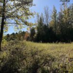Property photo for land for sale in Fulton County Arkansas