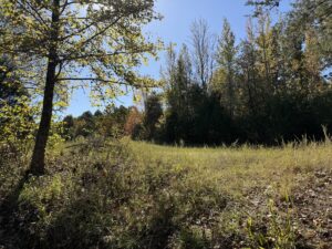 Property photo for land for sale in Fulton County Arkansas