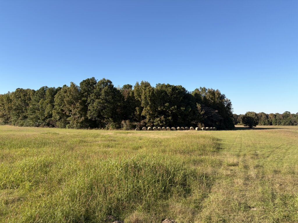 Property photo for land for sale in Miller County Arkansas
