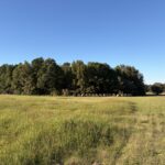 Property photo for land for sale in Miller County Arkansas