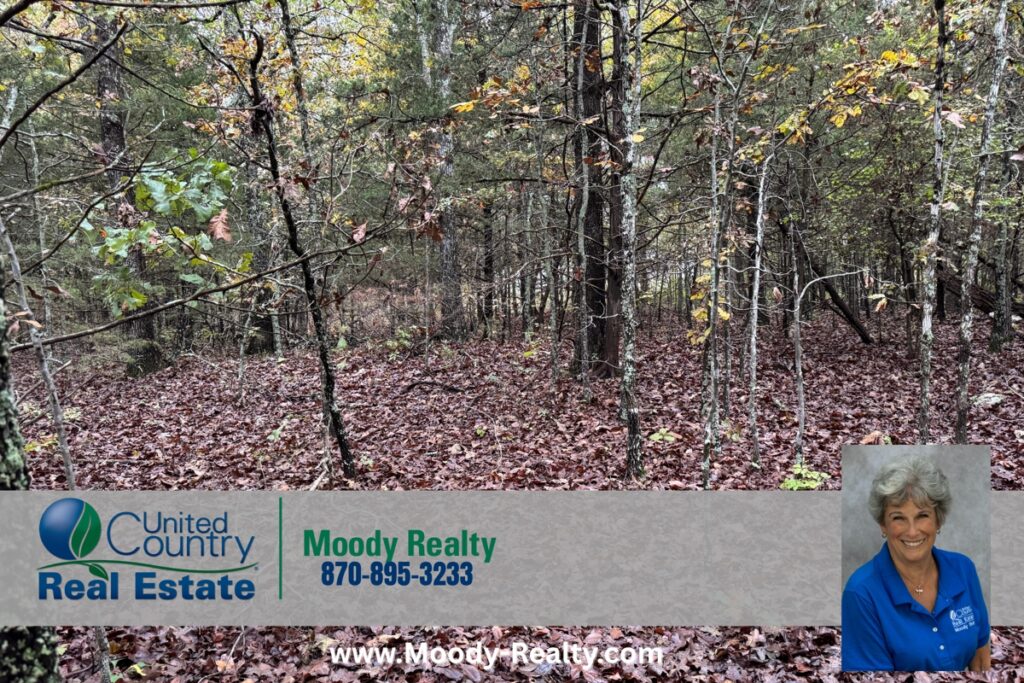 Property photo for land for sale in Izard County Arkansas