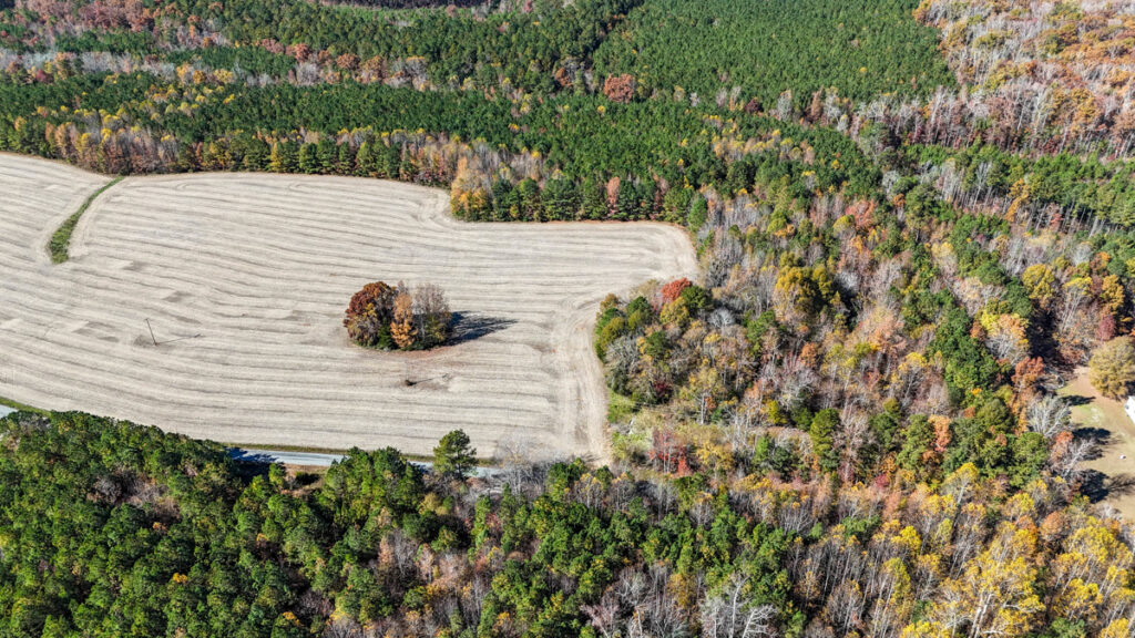 Property photo for land for sale in Lunenburg County Virginia