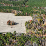 Property photo for land for sale in Lunenburg County Virginia