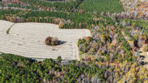 Property photo for land for sale in Lunenburg County Virginia