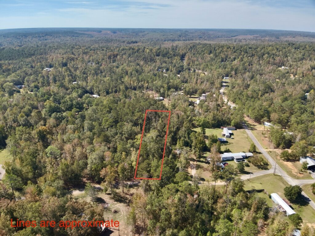 Property photo for land for sale in Henry County Alabama