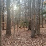Property photo for land for sale in Mecklenburg County Virginia